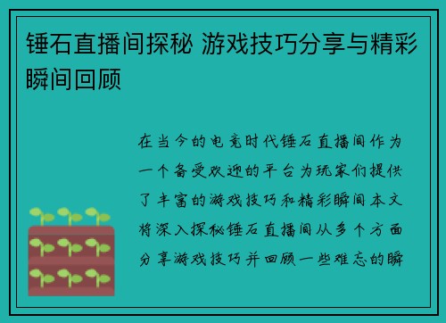 锤石直播间探秘 游戏技巧分享与精彩瞬间回顾